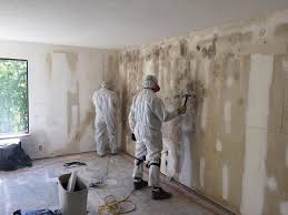 Best Black Mold Removal  in Woodbine, GA